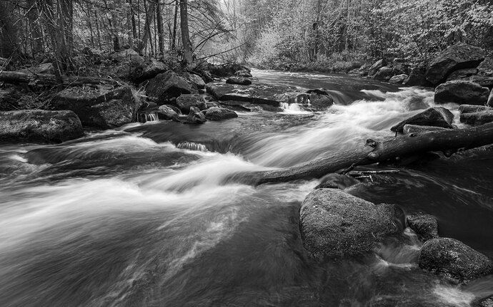 Kristen_SmithMay 19, 2021P1055764-Edit