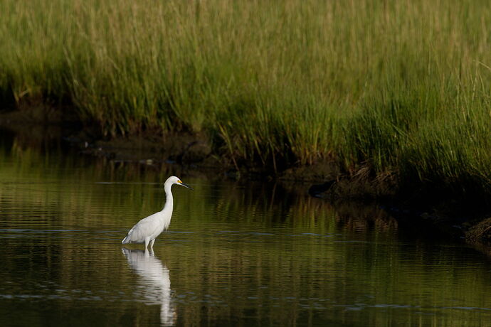 _S1A5703_DxO