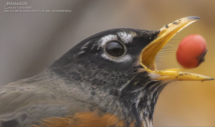 Screenshot 2025-12-04 at 1.57.48 PM