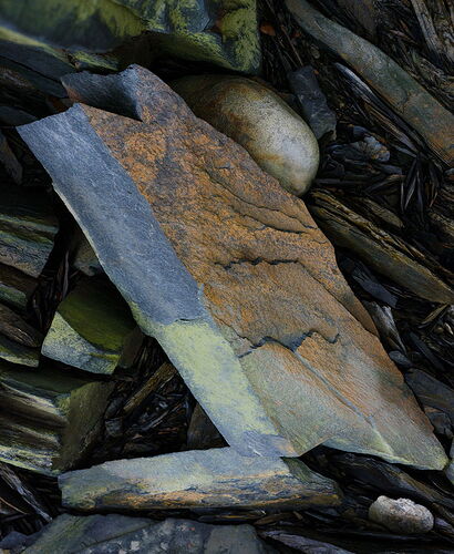 Igor_DSF1105_1139_psd1_1500px