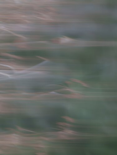 -20231212-_A1_2982-McLane Creek-Edit.jpg
