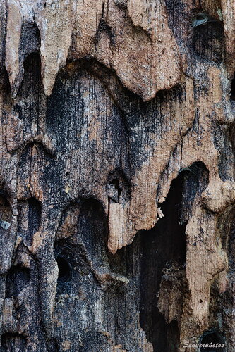 Additional image 1