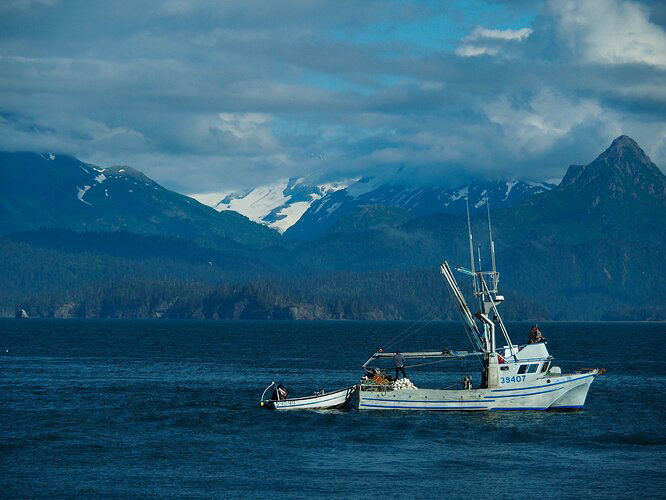 Alaska_HomerFishingBoat