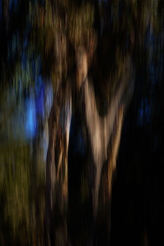 _49A1560-Edit-Edit-Edit.jpg
