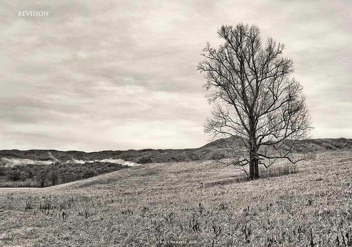 _1FX9123 - Cades Cove Scenic C1 - B&W - revision - 1500