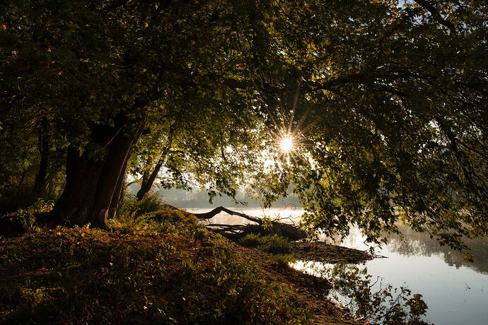 DSC_4264 processed.jpg