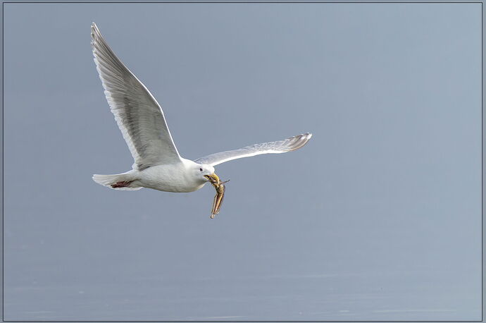 -20240605-_A1_2255-Big Beef Creek-ARW-Edit.jpg