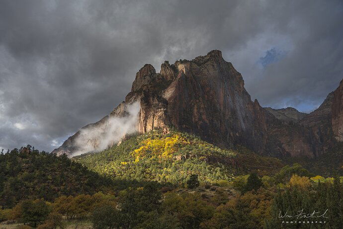 Zion National Park Sunrise-.jpg