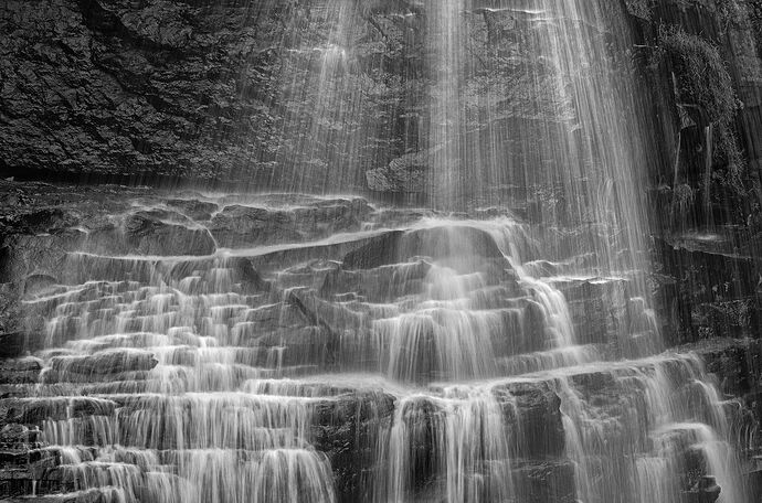 _DSC5745 copy-DM