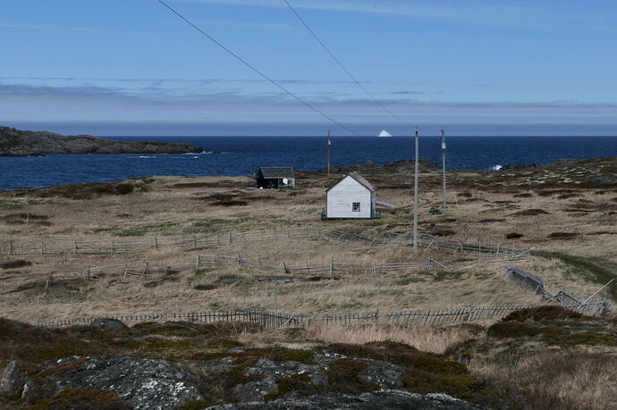 S1002051 4.JPG