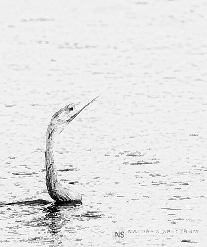 00886-R3-240611_WM1600_BW_Web-studio