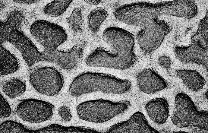 Bateau Bay-51-Edit.jpg