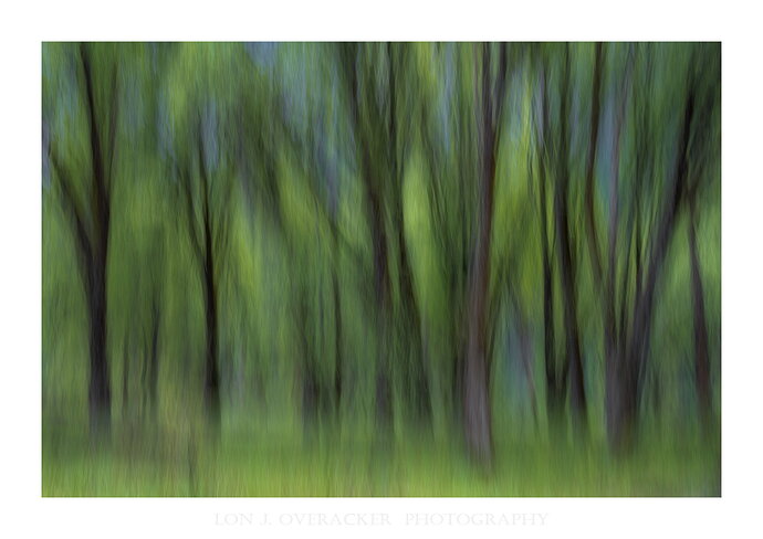 56ZS_0540ICM-npn.jpg