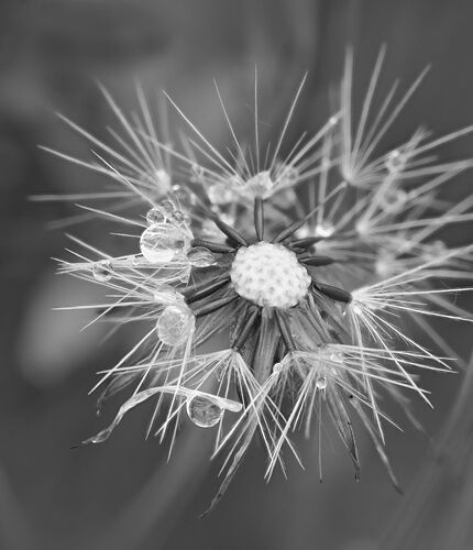 2019-05-14-12.04.47 ZS PMax-Edit-Edit-Edit-2.jpg