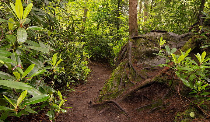 Canyon Trail stack # 2 copy.jpg