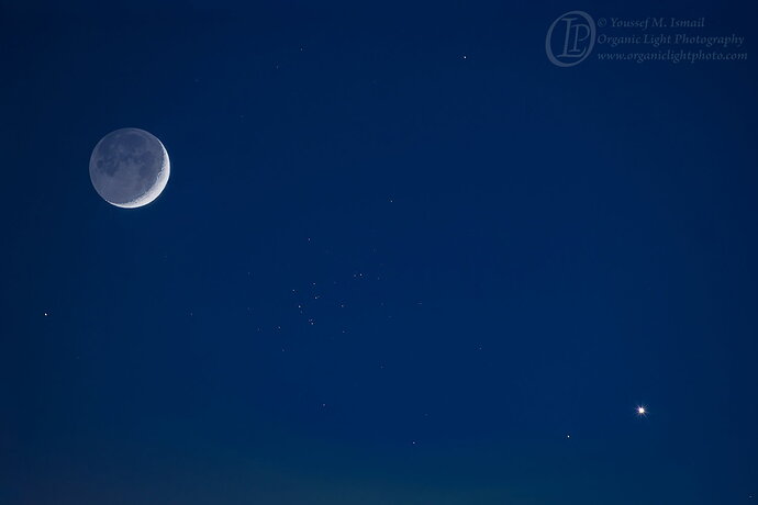 Luna, Cancer, Beehive, and Venus
