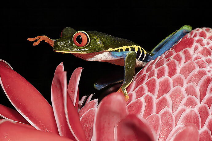 DAS_1202-DxO_DeepPRIME 3 copy.jpg