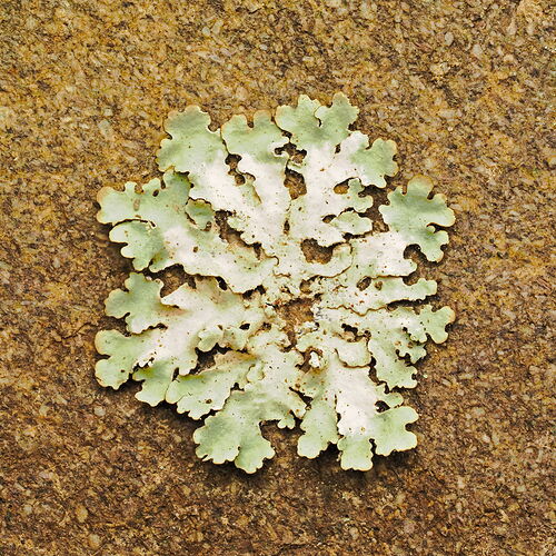 This Could Be the Start of Something Big.jpg