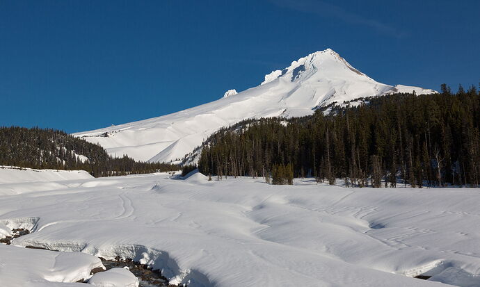 IMG5DIII_0729NPNWebLrg