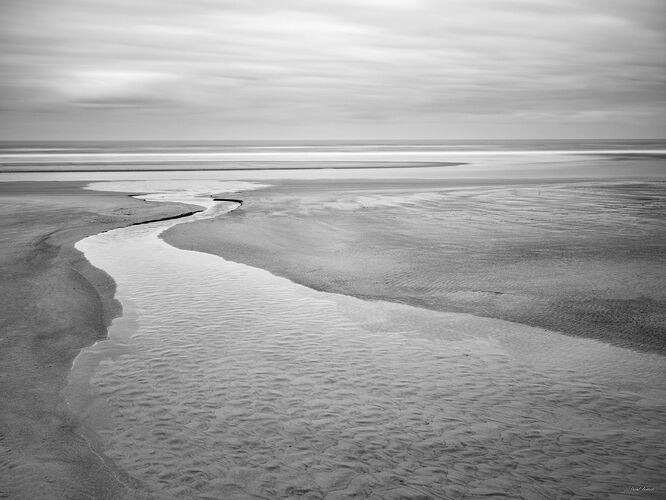 20190816_091756_DBP5383_C1_B&W_IR_2