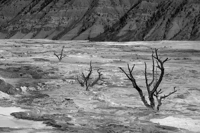 HollyLehrDesolate Beauty 2_MT_Yellowstone_06202026-061926_0629-1_MLDCROP