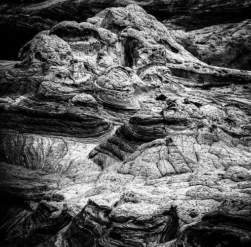20260310-IMG_6549-Edit-3