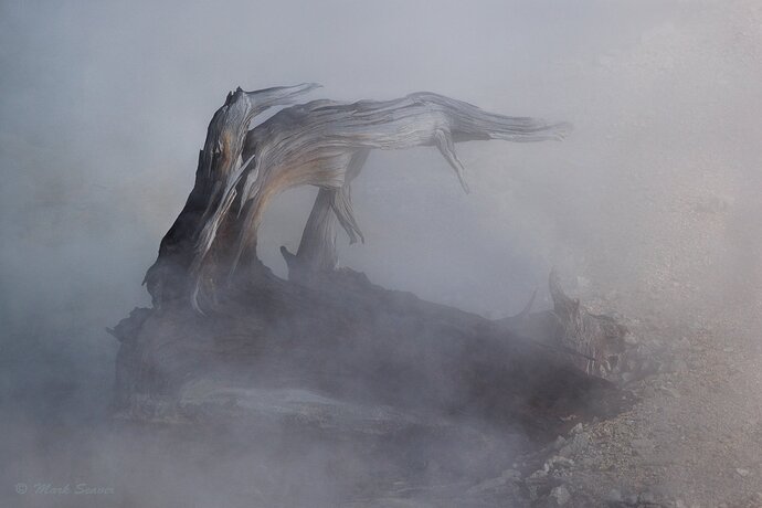In Porcelain's Mist.jpg