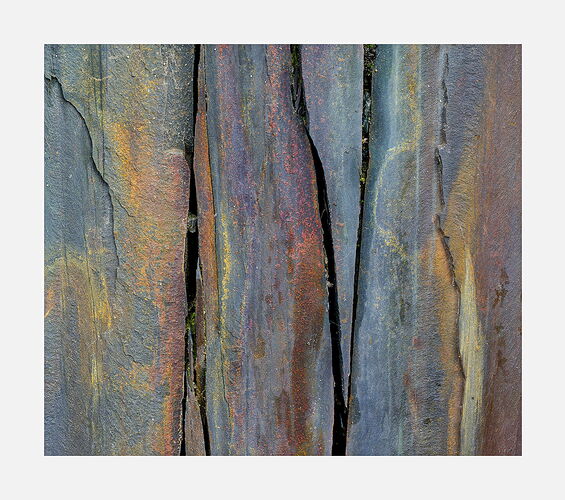 _DSF1994_2051_psd3_1400px