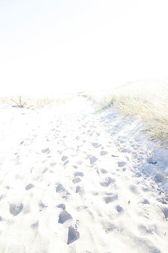 footprints to the horizon.jpg