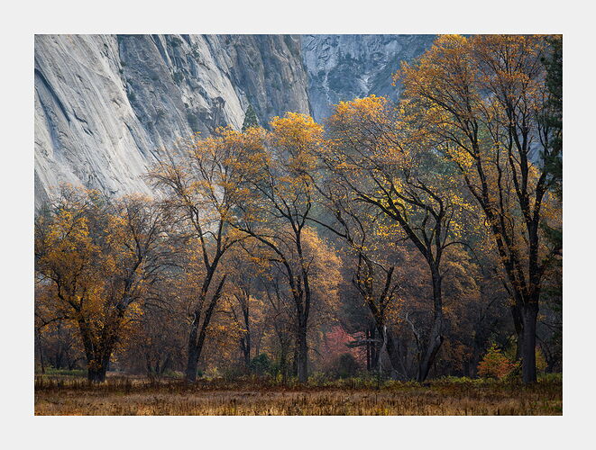 DSC_6129-Edit-2 copy.jpg