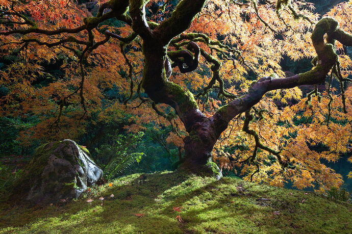 IMG5DIIIPost10k_4026NPNWebLrg-NPNWebLrg 4.9mb-3