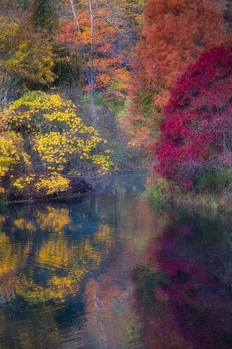 Fall at Brookside Gardens