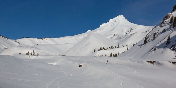 IMG5DIII_0801NPNWebLrg