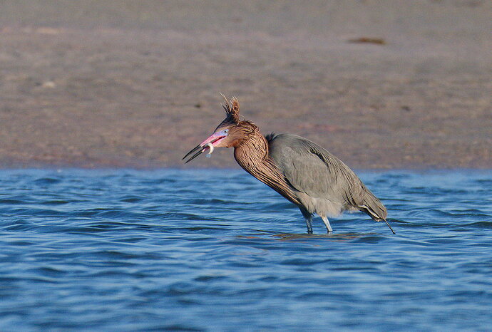 DSC_4548_DxO.jpg