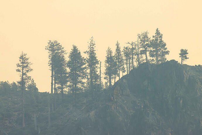 Ridgeline c-.JPG