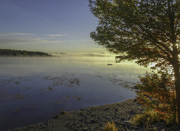 Original - Maine 1 of 1 .jpg