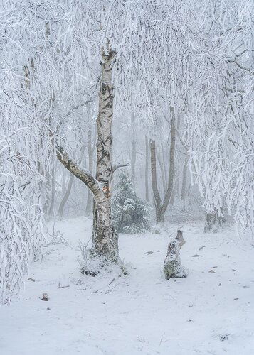 Frosty Frame