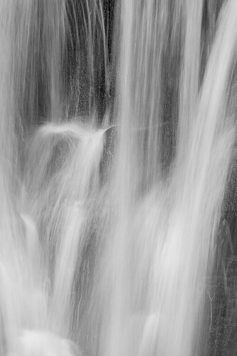 _DSC2595 copy.jpg