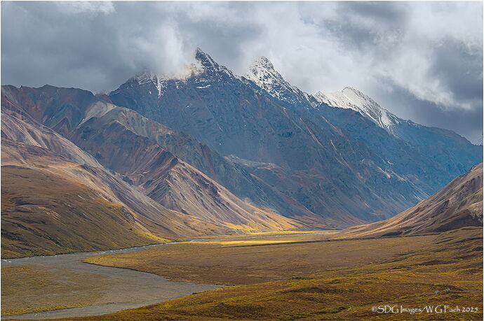 Rawboned-7987A772-25-Edit2