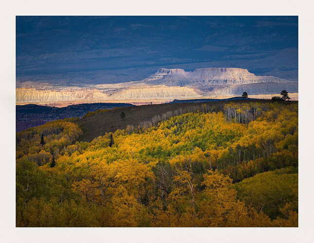 20221010-_DSC1974-Edit-Edit