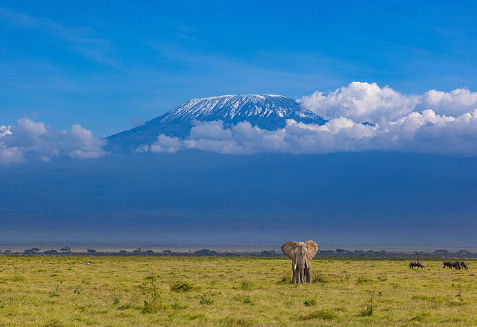 Amboseli-Nov2025-0026-e2-L(1920)