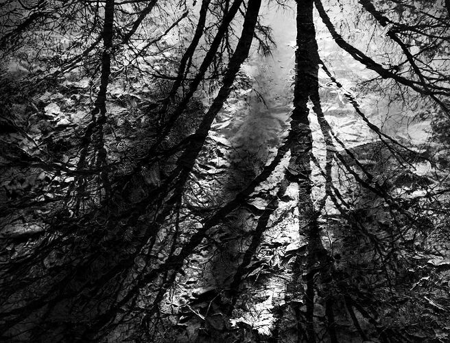 Sun and Reflection.jpg