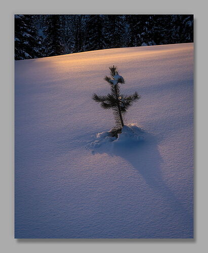 20260109 Dream Big.jpg