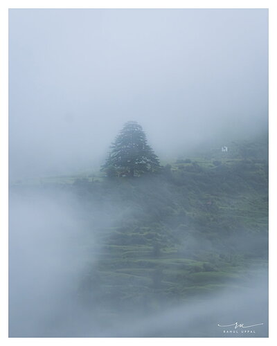 Original - XT5S2952-2-Edit-4.jpg