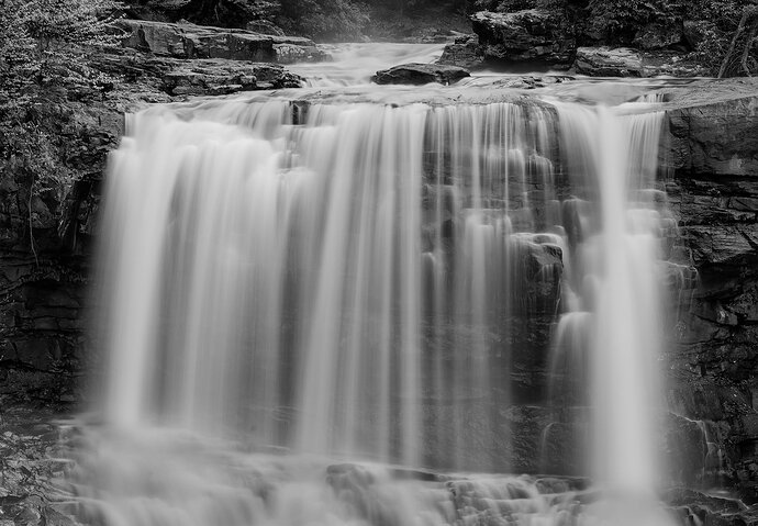 _DSC3954-copy-B&W-DM