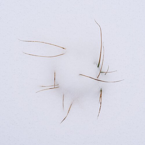 Kristen_SmithJanuary 10, 2024P1175606.jpg