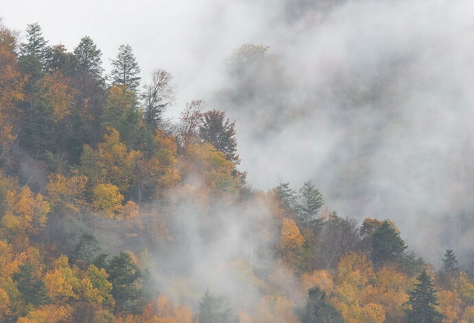 _DSC5819-topaz-denoiseraw copy.jpg