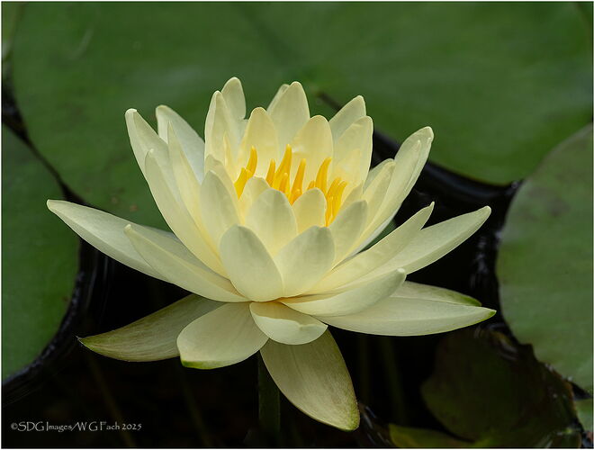 Water-Dreams-52224A7r3-25