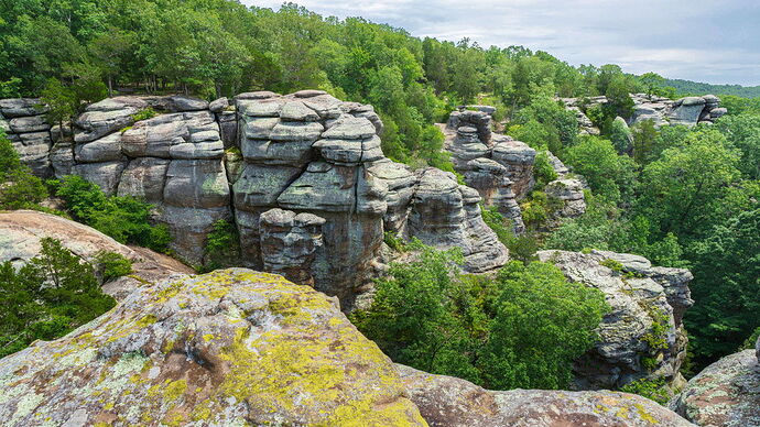 Gardenofthegods1