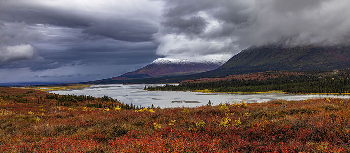 Denali Magic.jpg